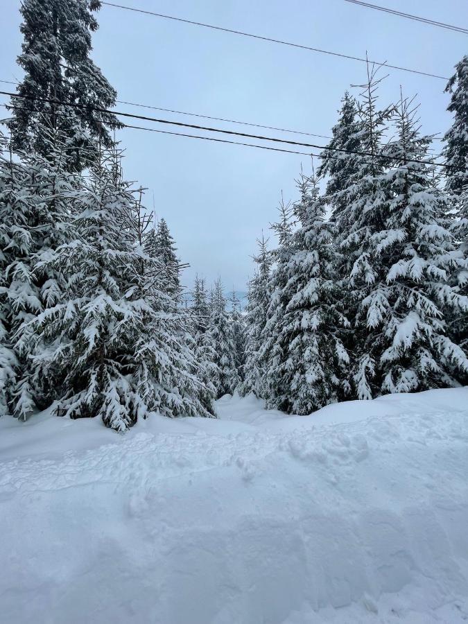 Котедж Chalet Adriana Bukovel Eksteriør bilde